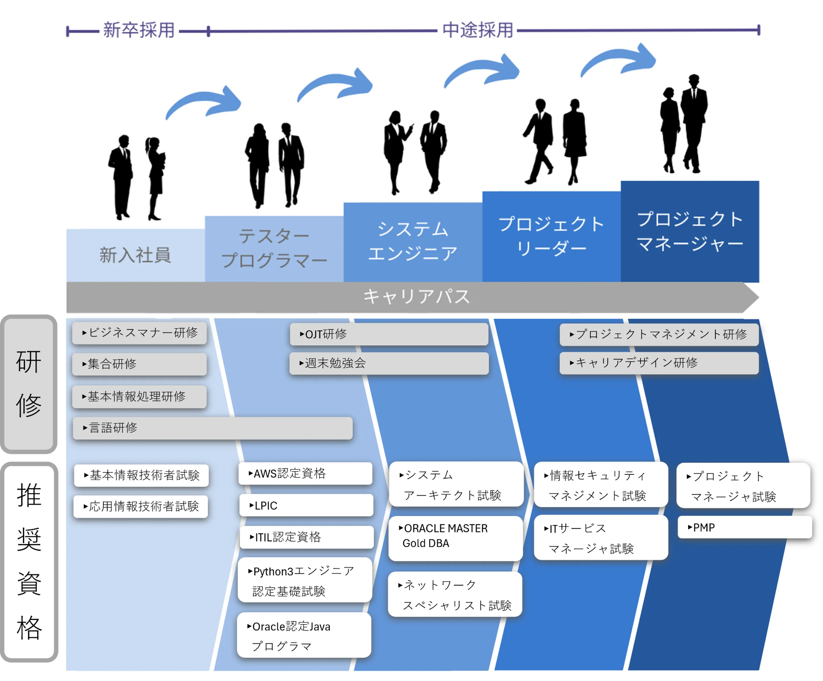 入社後のキャリアパスの図。新入社員として入社した後は、テスタープログラマー、システムエンジニア、プロジェクトリーダー、プロジェクトマネージャーへとキャリアを積んでいく。