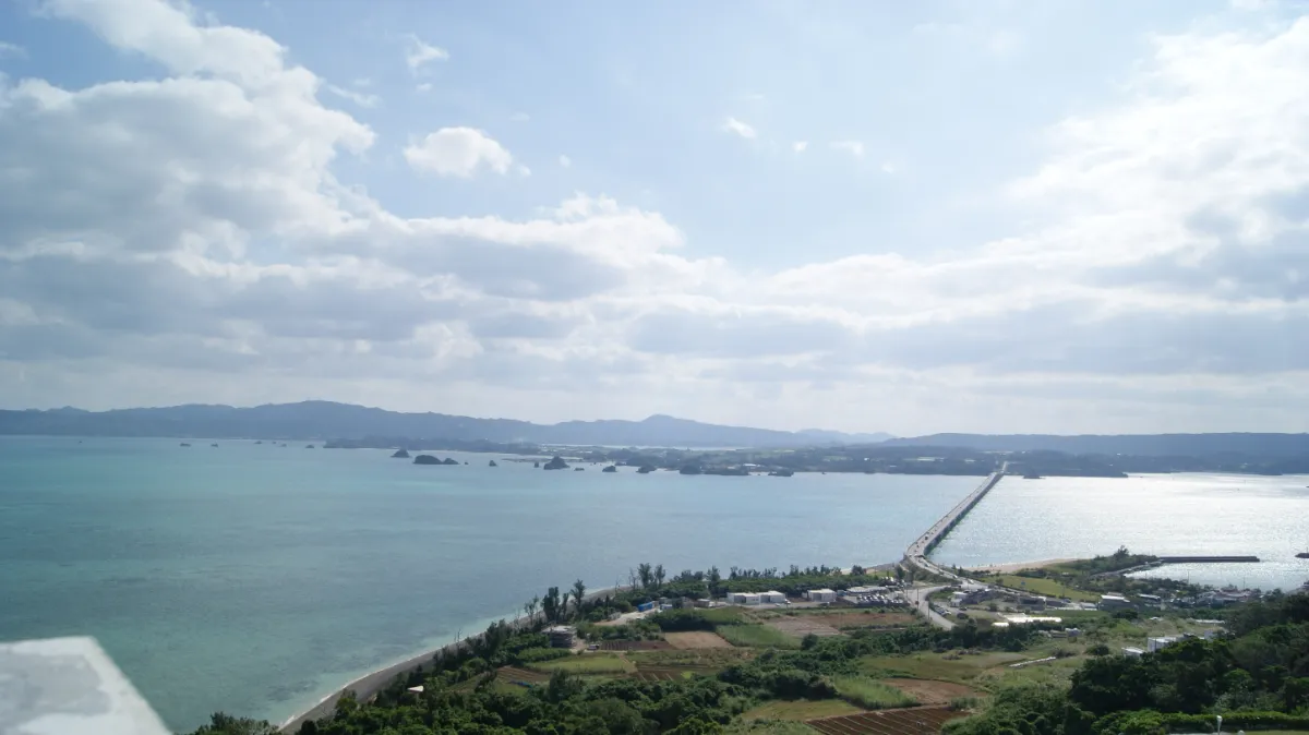 高台から見た風景。透き通った海の向こうには島が見えている。